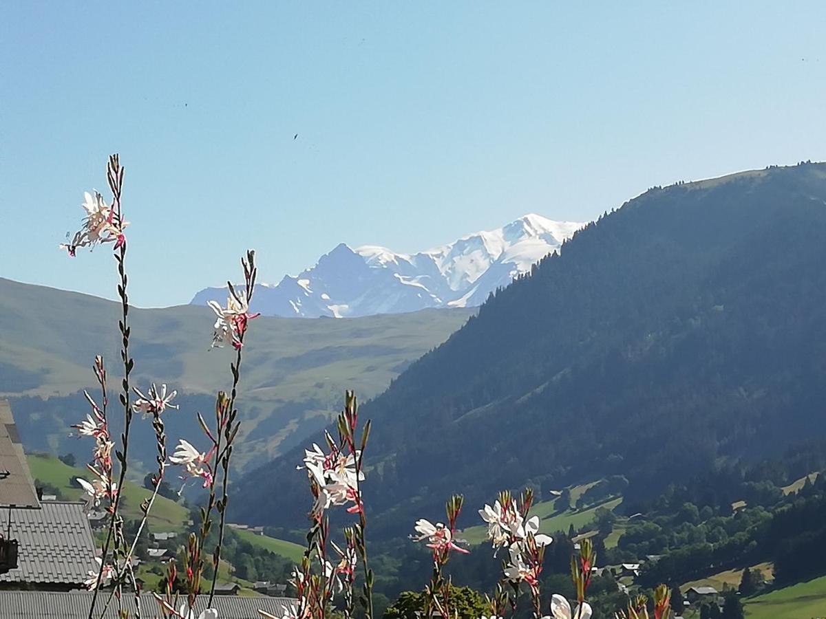 Chambres Et Tables D'Hotes Le Choton A Nono - Col Du Joly Beaufortain Hauteluce Kültér fotó