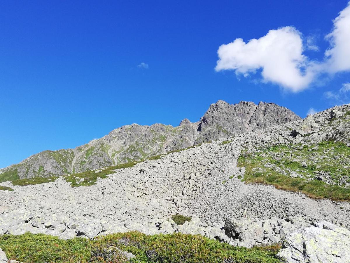 Chambres Et Tables D'Hotes Le Choton A Nono - Col Du Joly Beaufortain Hauteluce Kültér fotó